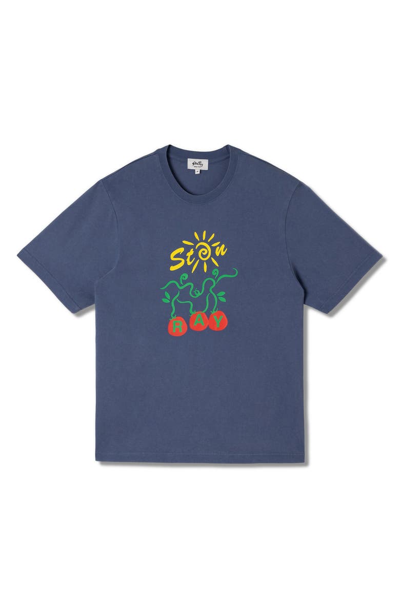 STAN RAY Ray Vine Graphic T-Shirt, Main, color, Battle Blue