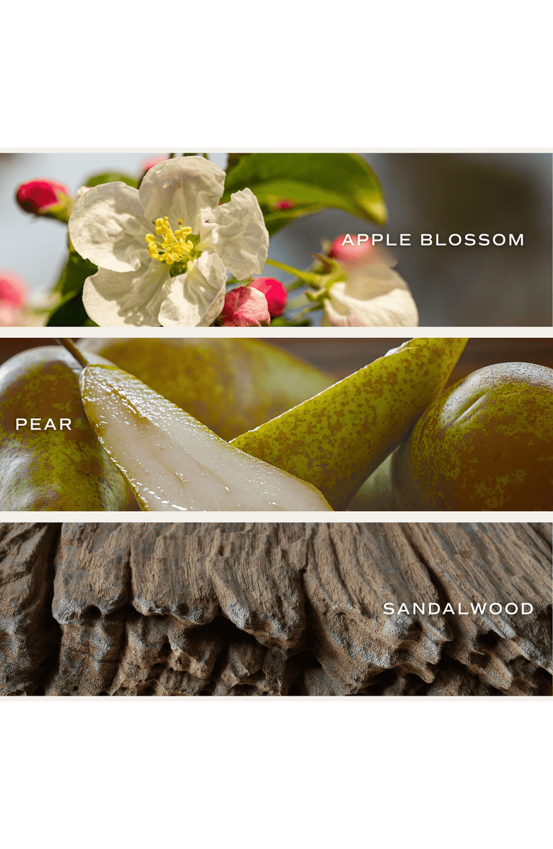 SWEET WATER DECOR Spring and Summer 12 oz Candle, Alternate, color, Fresh Apple Blossom