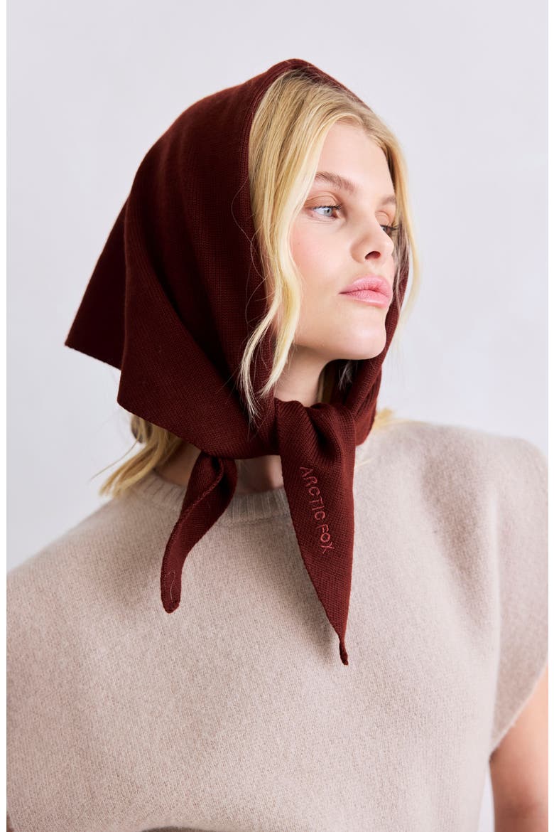 The Merino Wool Triangle Scarf, Alternate, color, DARK WALNUT BROWN