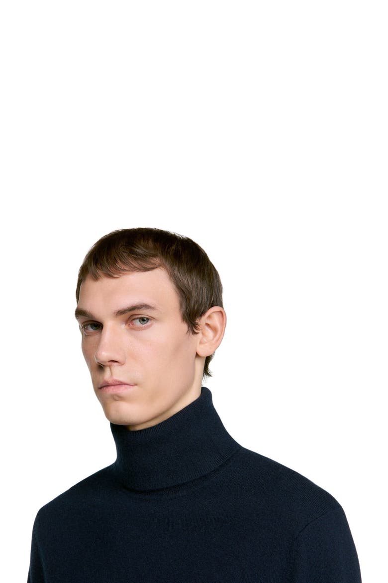 Roll neck cashmere sweater, Alternate, color, Navy blue