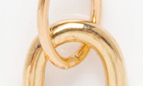 Local Eclectic Solid Gold Carabiner Charm Clip In Gold