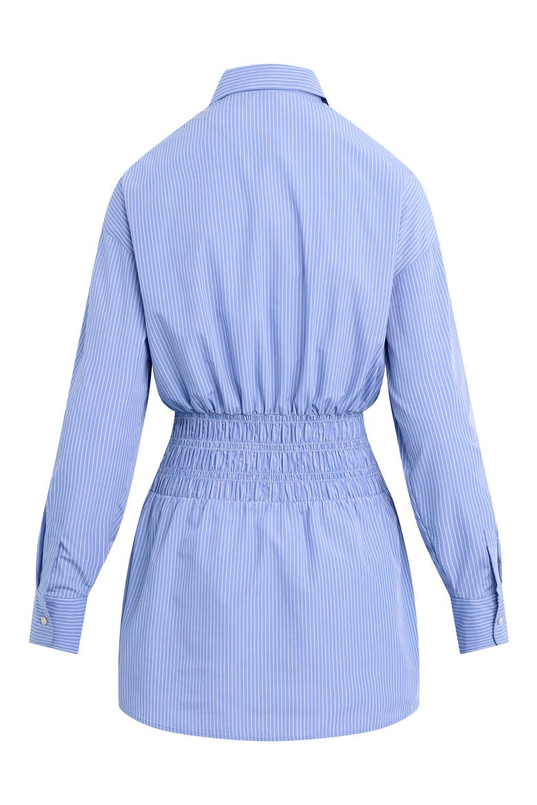 The Waist Not Mini Shirtdress, Alternate, color, BLUE/ WHITE STRIPE