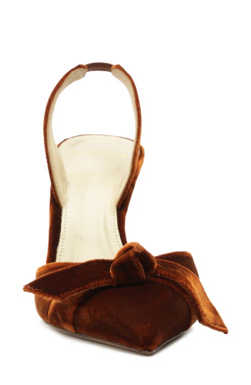 Alexandre Birman Clarita Bow Pointed Toe Slingback Sandal In Brown