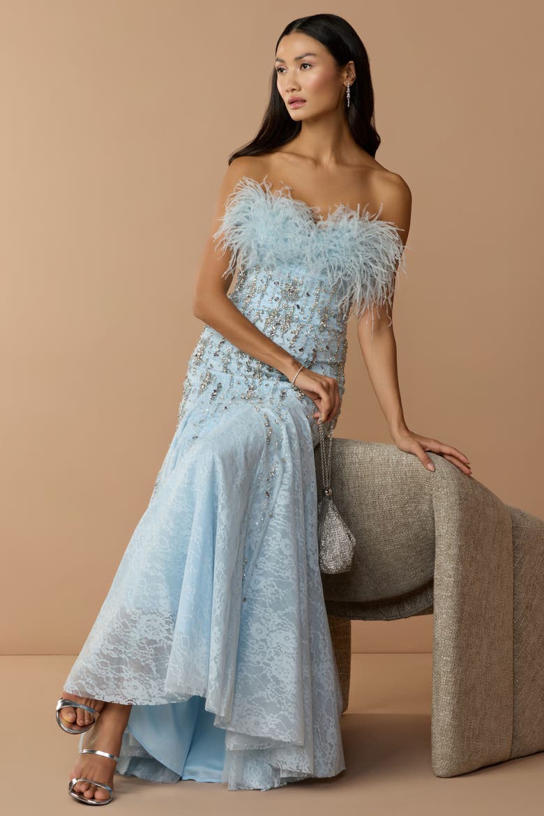 Strapless Feather Embellished Mermaid Gown, Alternate, color, Powder Blue