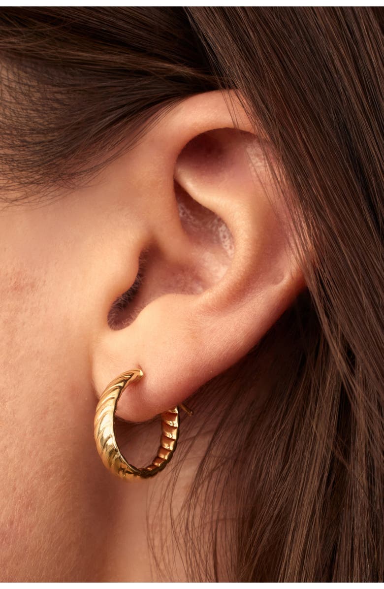 Oradina 18k Gold Cobra Oval Hoops, Alternate, color, 