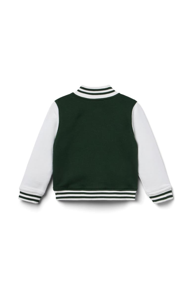 The Classic Bomber Jacket, Alternate, color, Green