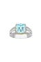 selected Silver/ Topaz