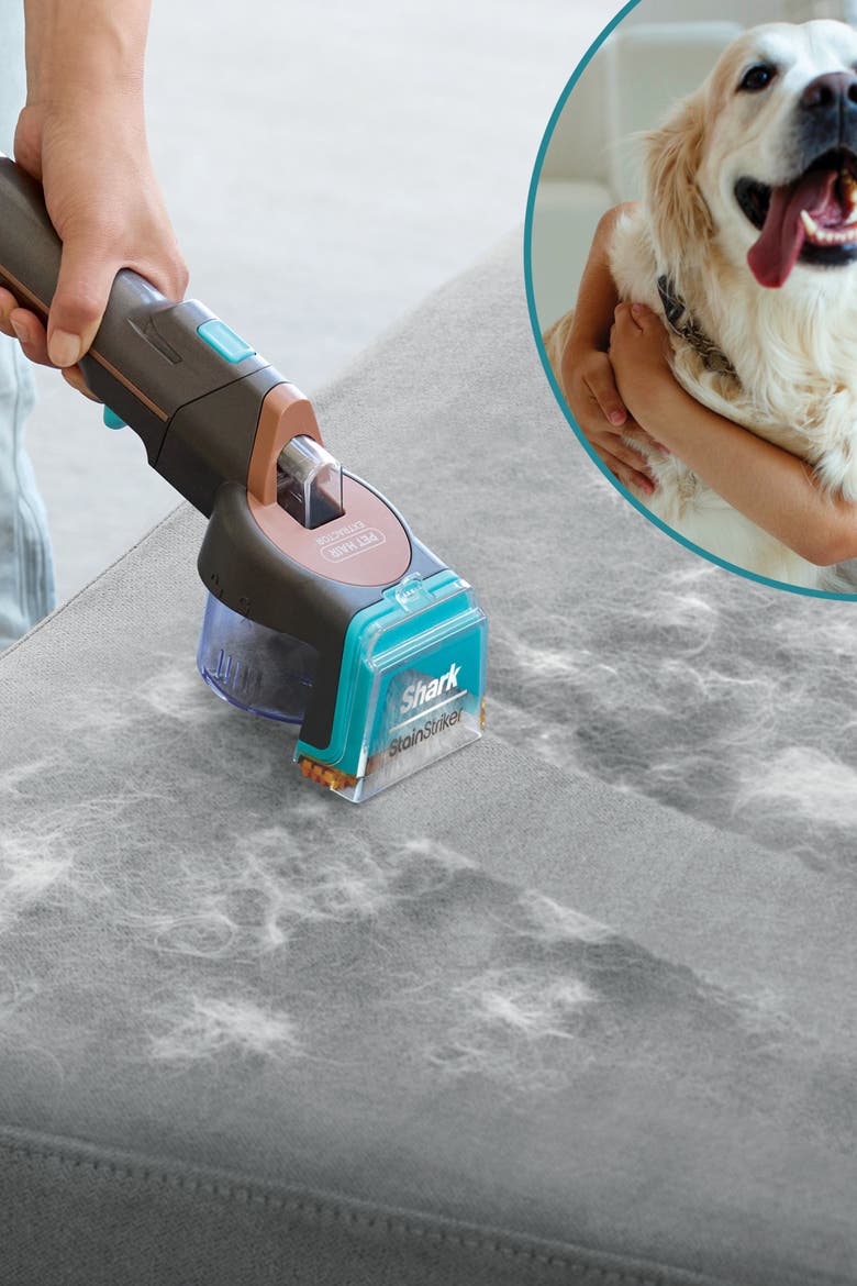 StainStriker HairPro Portable Spot and Stain Cleaner, Alternate, color, Gray