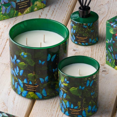 Vila Hermanos Vila Jungletropia Candle In A Jar In Green