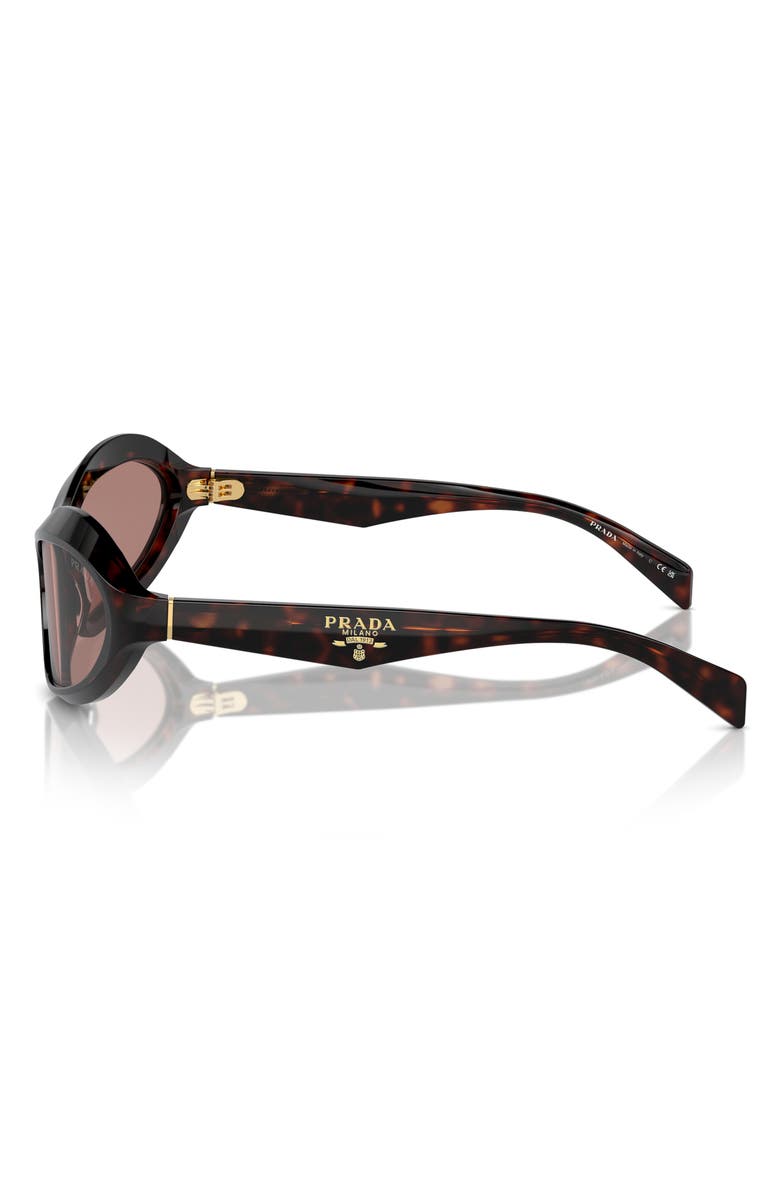 Prada 61mm Oval Sunglasses, Alternate, color, Lite Brown
