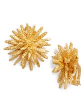 Karine Sultan Statement Clip-On Earrings