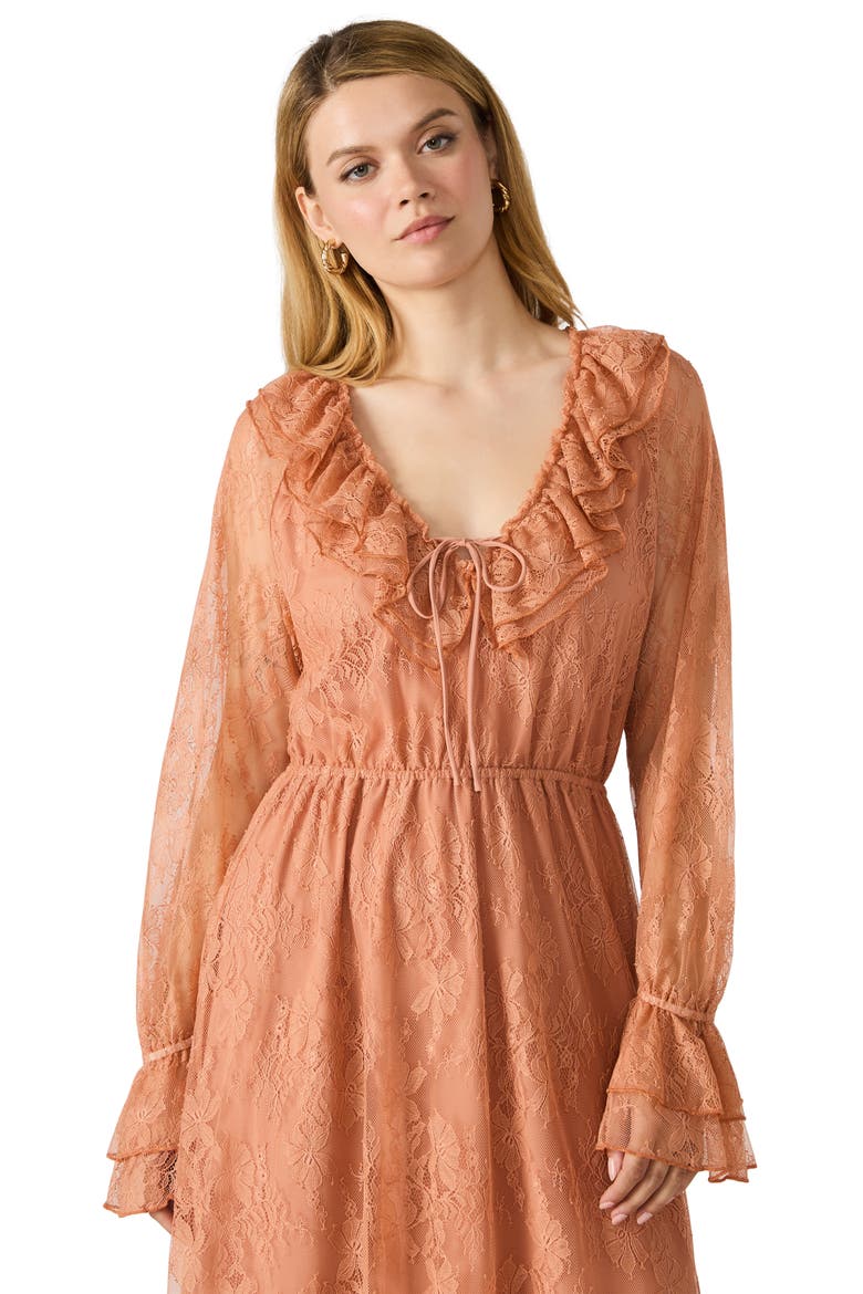 Rosabella Long Sleeve Lace Dress, Alternate, color, CLAY