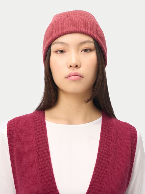 Gobi Cashmere Cashmere Rib Knit Beanie In Brown
