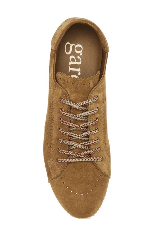 Pedro Garcia Celin Sneaker In Brown