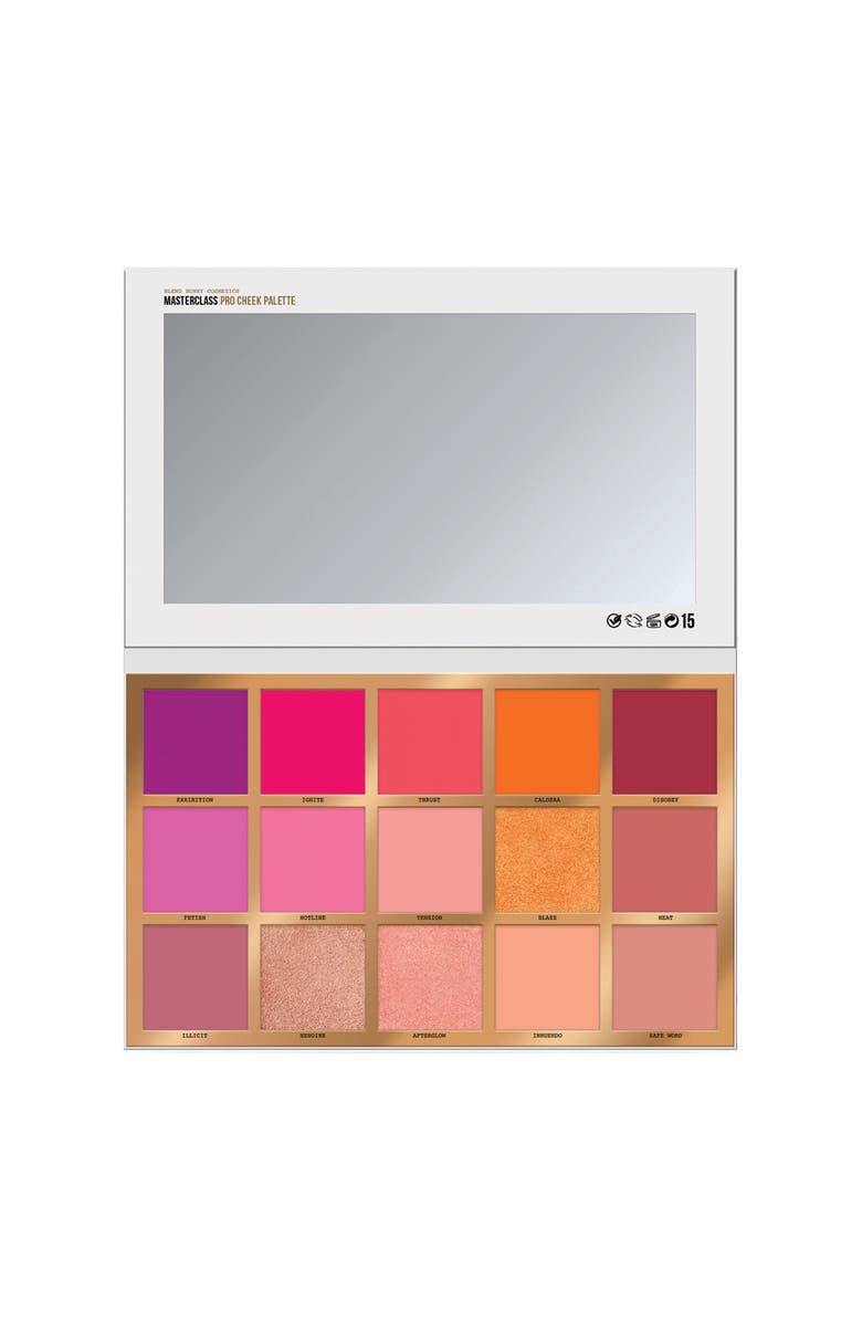 Blend Bunny Cosmetics Masterclass Pro Cheek Palette x15 Shades, Main, color,