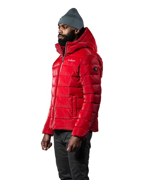 Woodpecker Sparrow Medium Weight Coat In Red