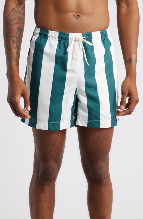 Playa Stripe Swim Trunks