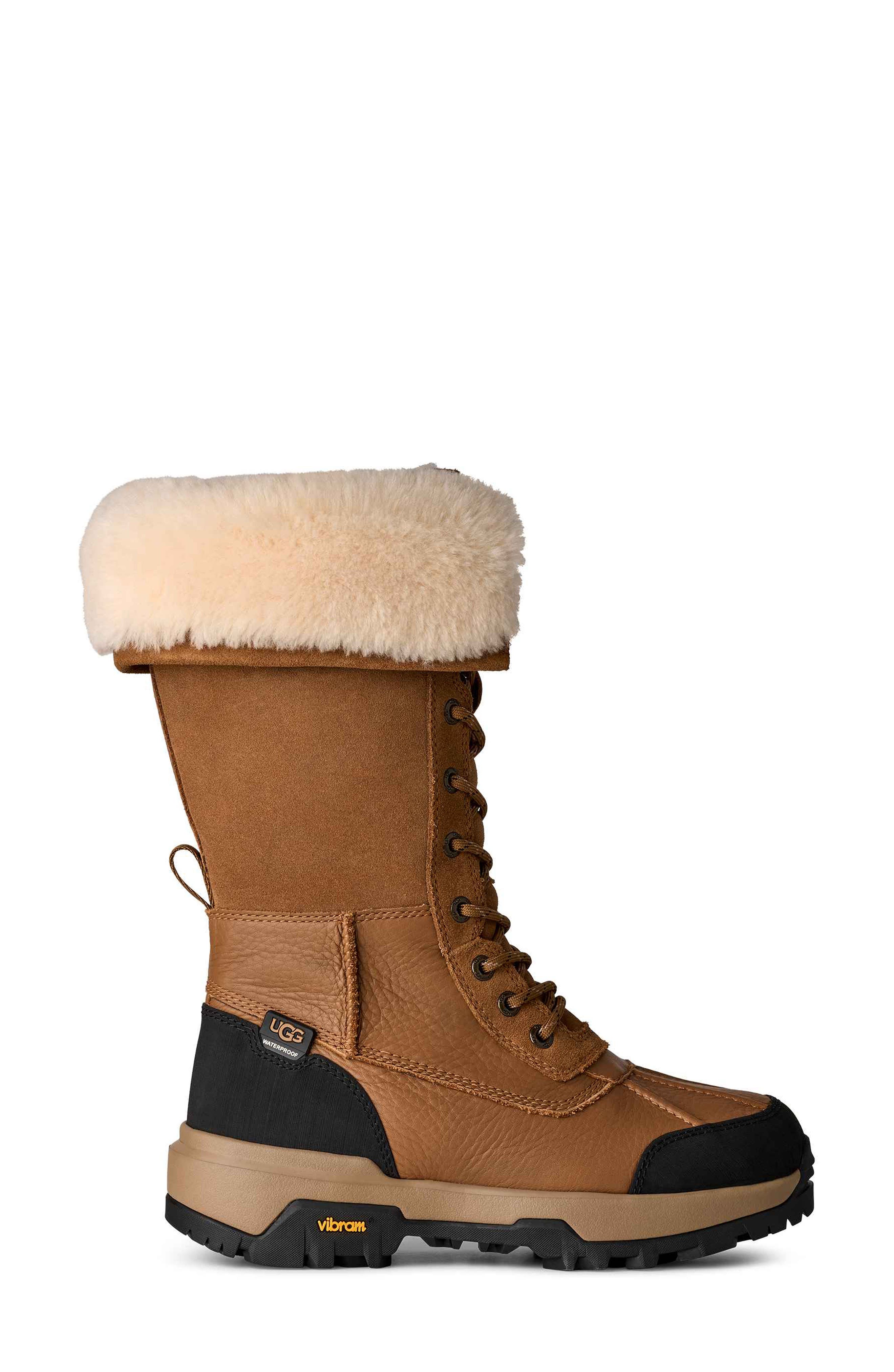 Adirondack XXV Waterproof Snow Boot, Alternate, color, CHESTNUT