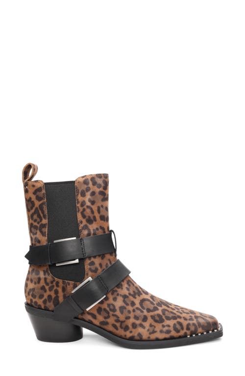 Ash Heron Chelsea Boot In Brown
