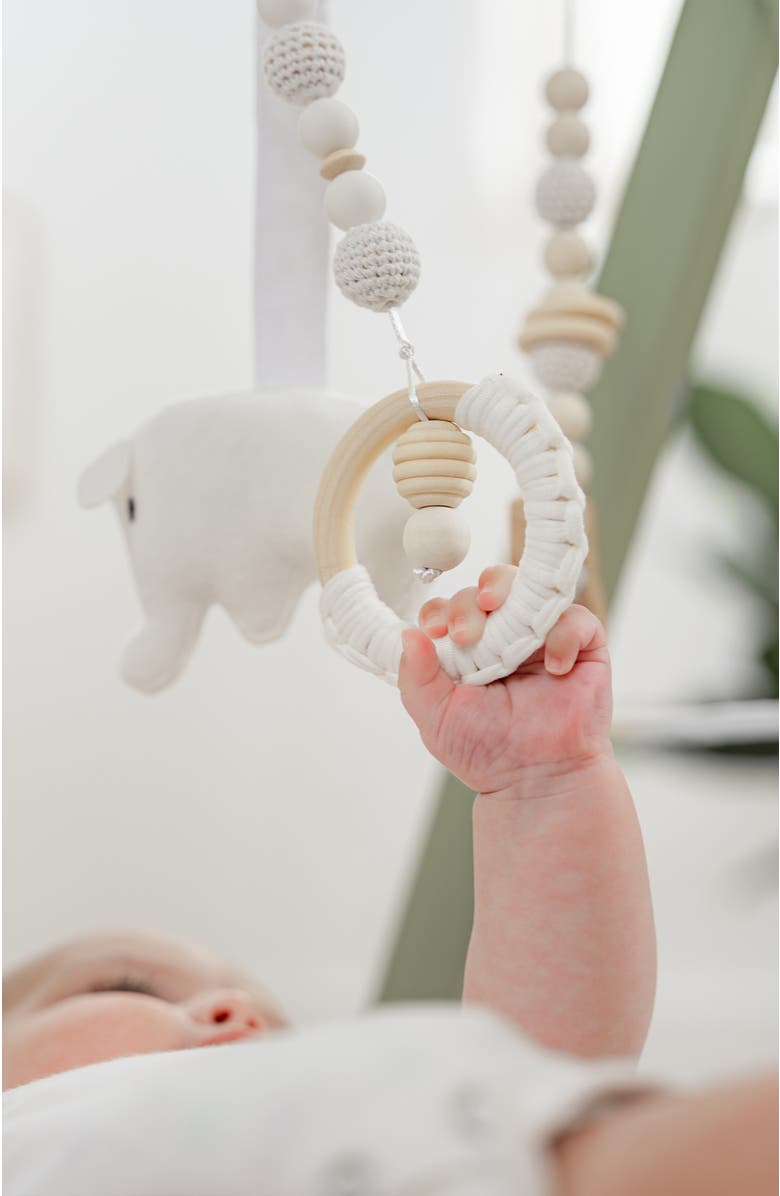 Comfy Cubs Wooden Baby Play Gym Set, Alternate, color, Sage