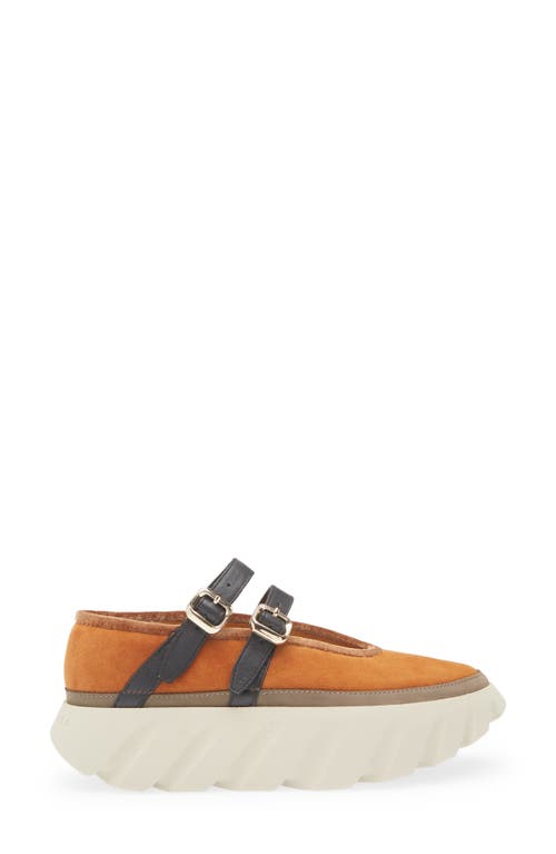4ccccees Tura Ballet Platform Loafer In Orange