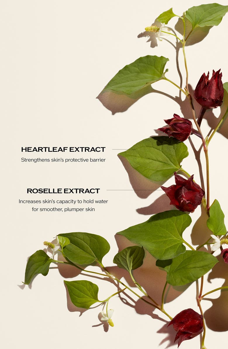 Shiseido Ultimune Power Infusing Serum Duo $310 Value, Alternate, color,