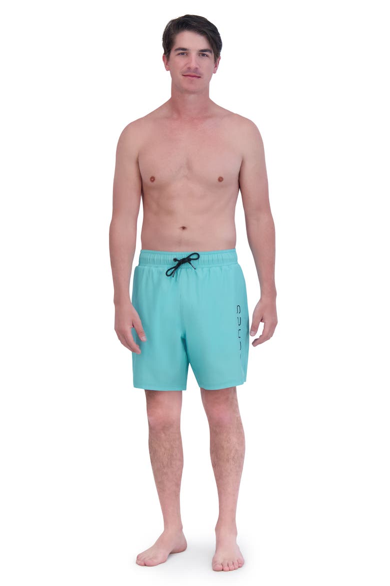7-Inch Volley Swim Shorts, Alternate, color, GOA