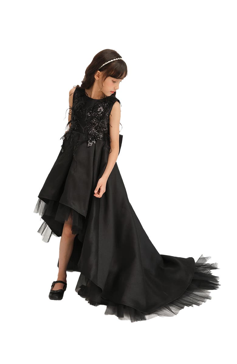 Tulleen Salem Dress, Alternate, color, Black