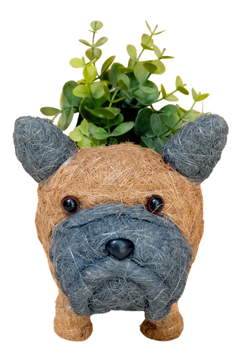 Baby French Bulldog Handwoven Planter, Alternate, color, BROWN / BLACK