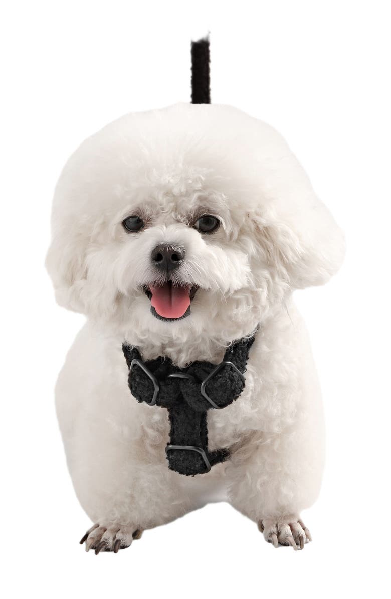 The Licker Store Teddy Bouclé Adjustable H Harness and Leash Walk Set with Poop Bag Pouch, Alternate, color, Black