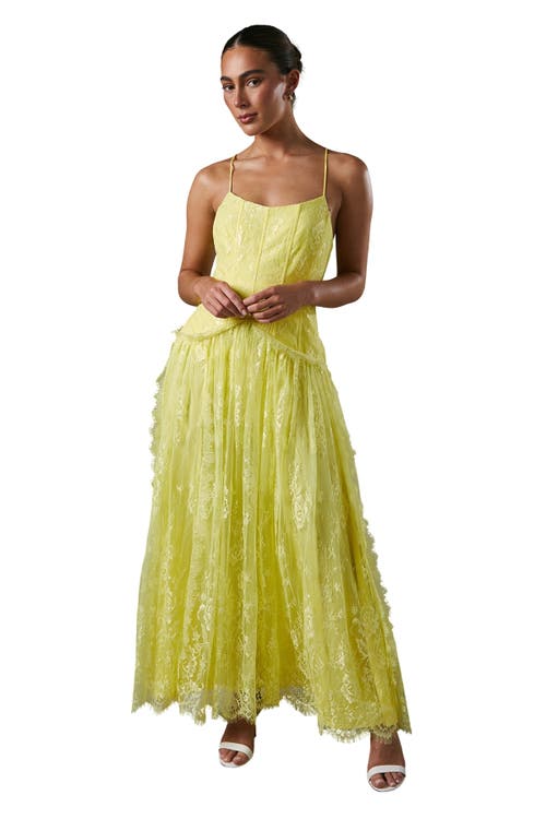 Coast Lace Cami Maxi Dress In Yellow