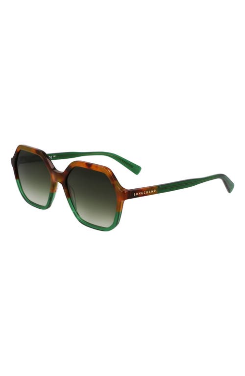 Longchamp Heritage 56mm Gradient Modified Rectangular Sunglasses In Brown Green Havana/green