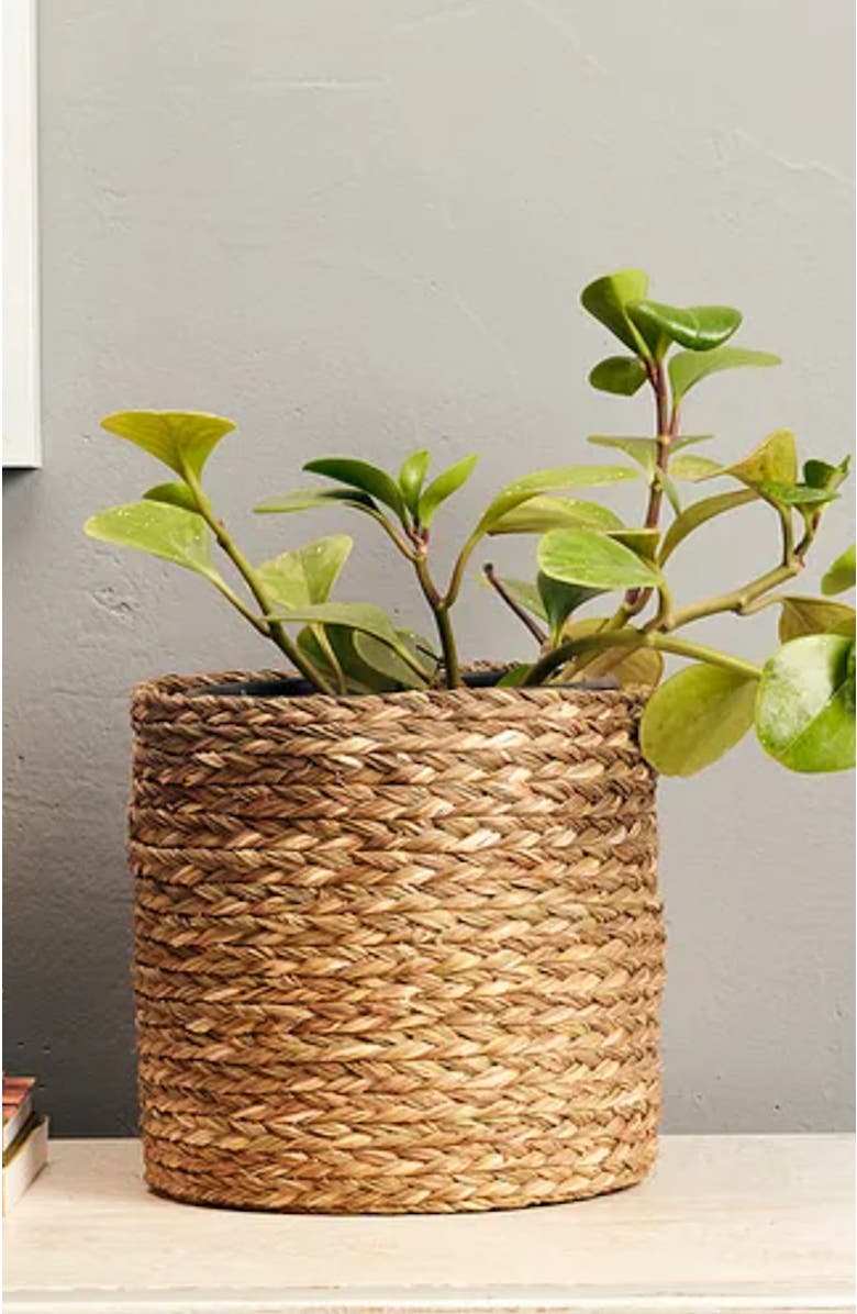 Kadam Haat Babui Eco-Pot, Alternate, color, 