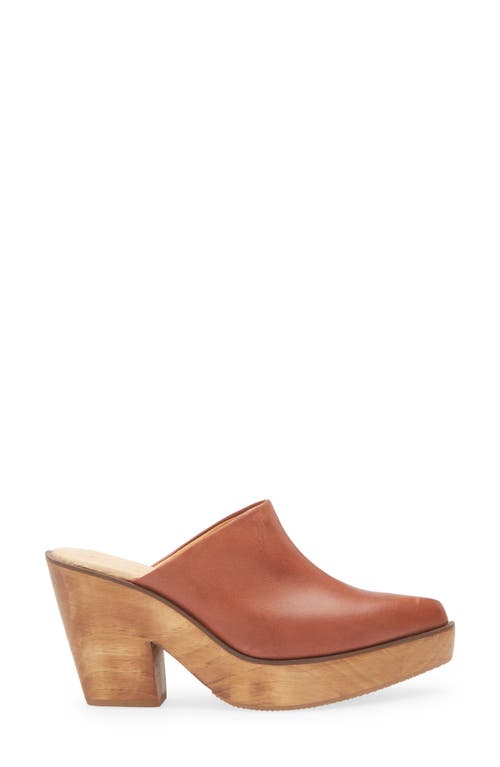 Cordani Pointed Toe Platform Mule In Brown