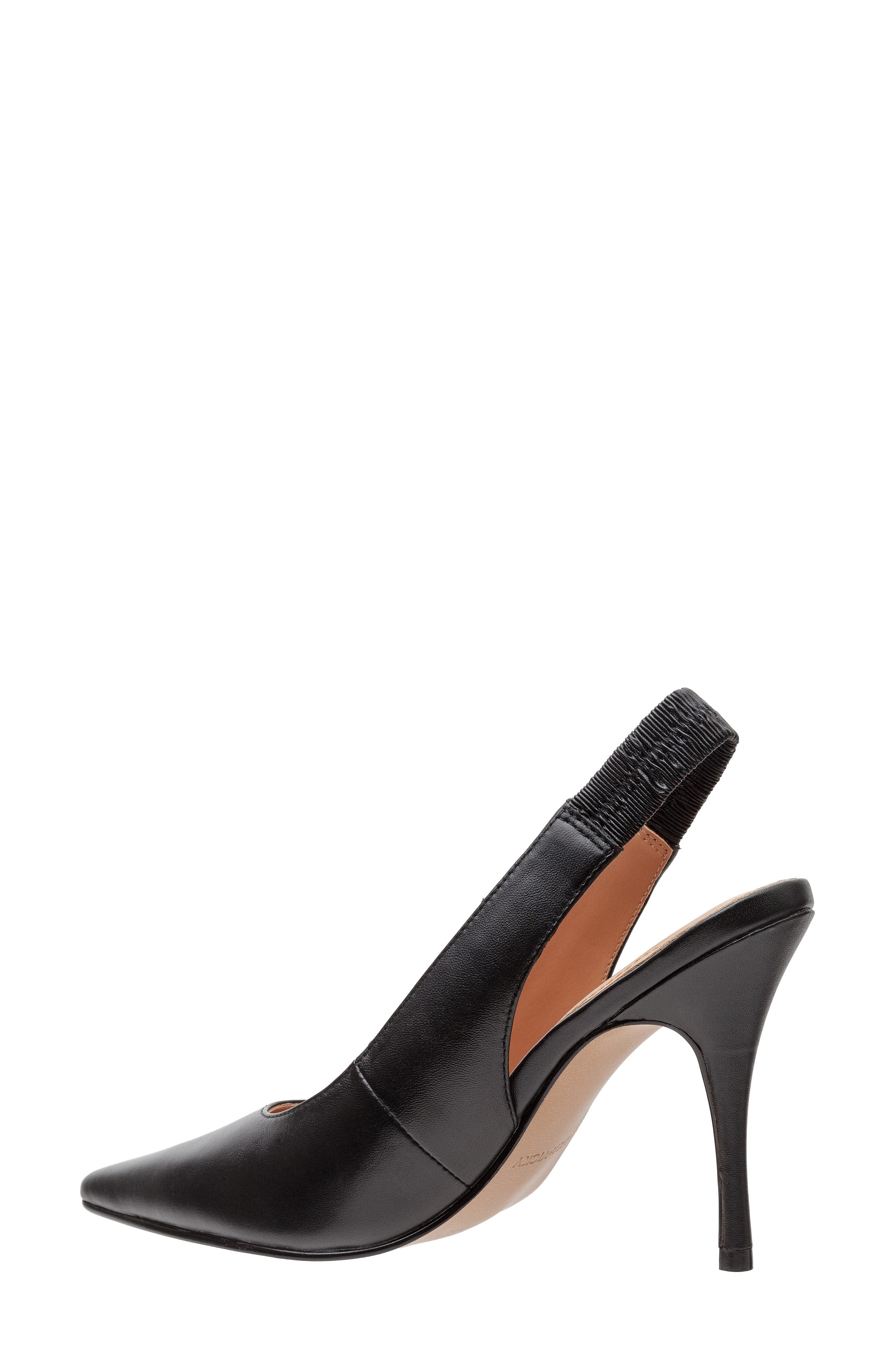 Lisa Vicky Piper Pointed Toe Slingback Pump, Alternate, color, 