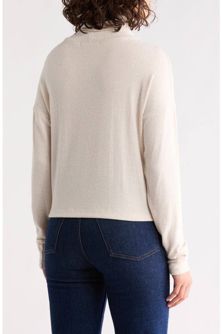 Cowl Neck Brushed Knit Crop Pullover, Alternate, color, OATMEAL