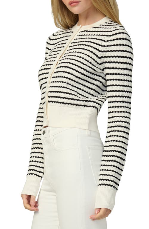 Joe's The Pointelle Dani Cardigan In White