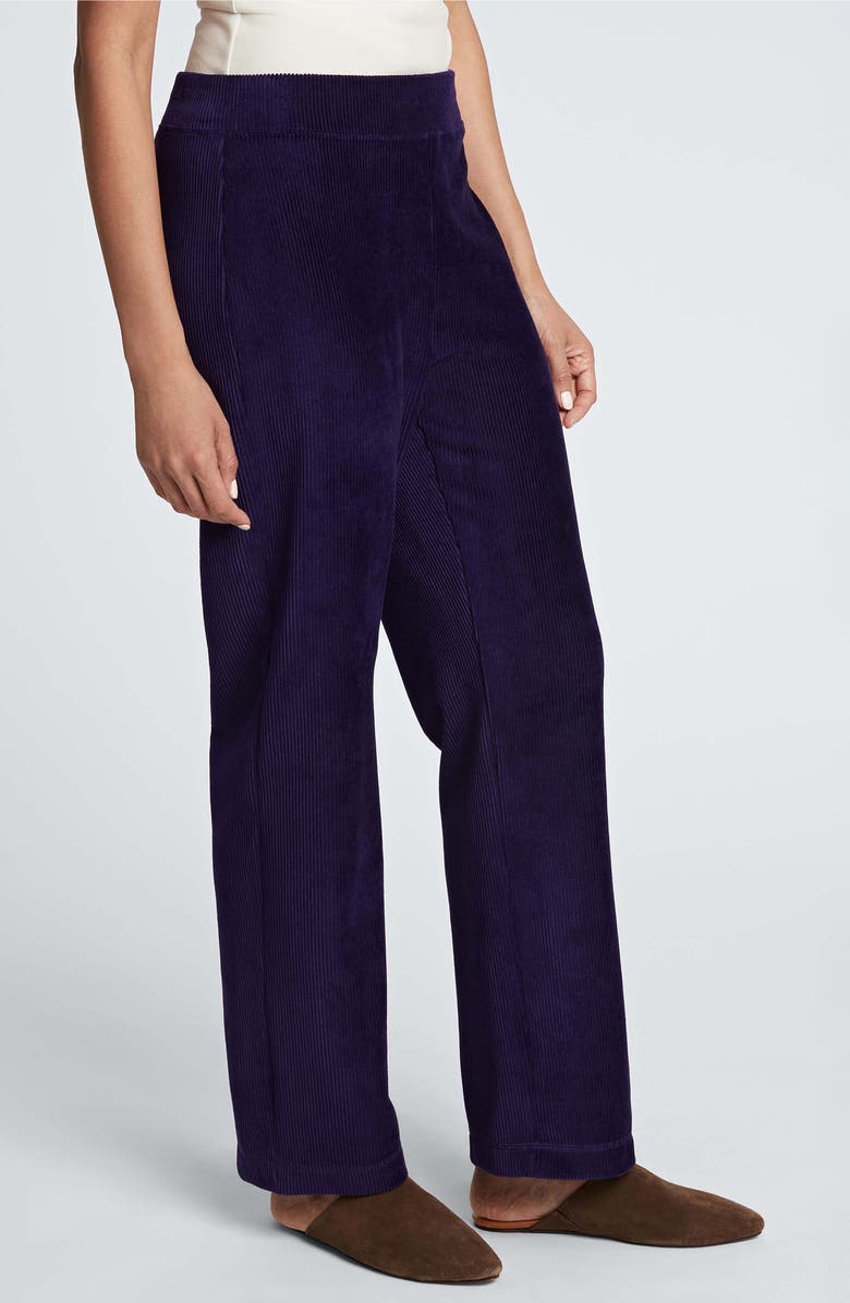 Foxcroft Caden Plush Corduroy Pants, Alternate, color, Deep Purple