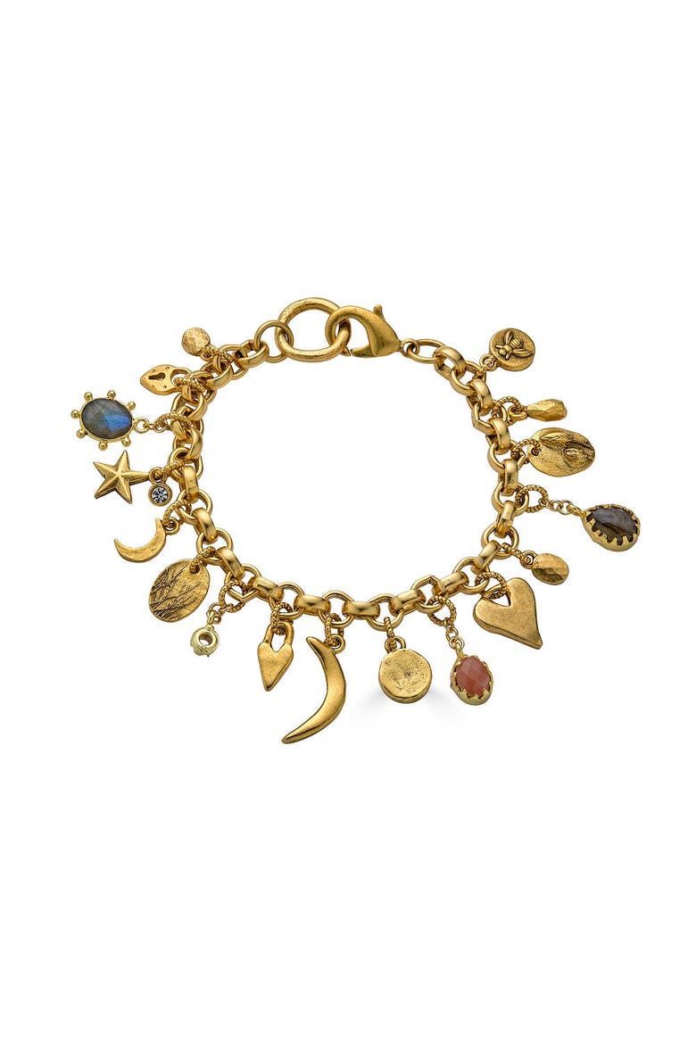 Talisman Charm Bracelet, Main, color, Gold
