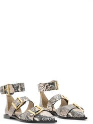 AllSaints Sutton Snakeskin Embossed Pointed Toe Flat