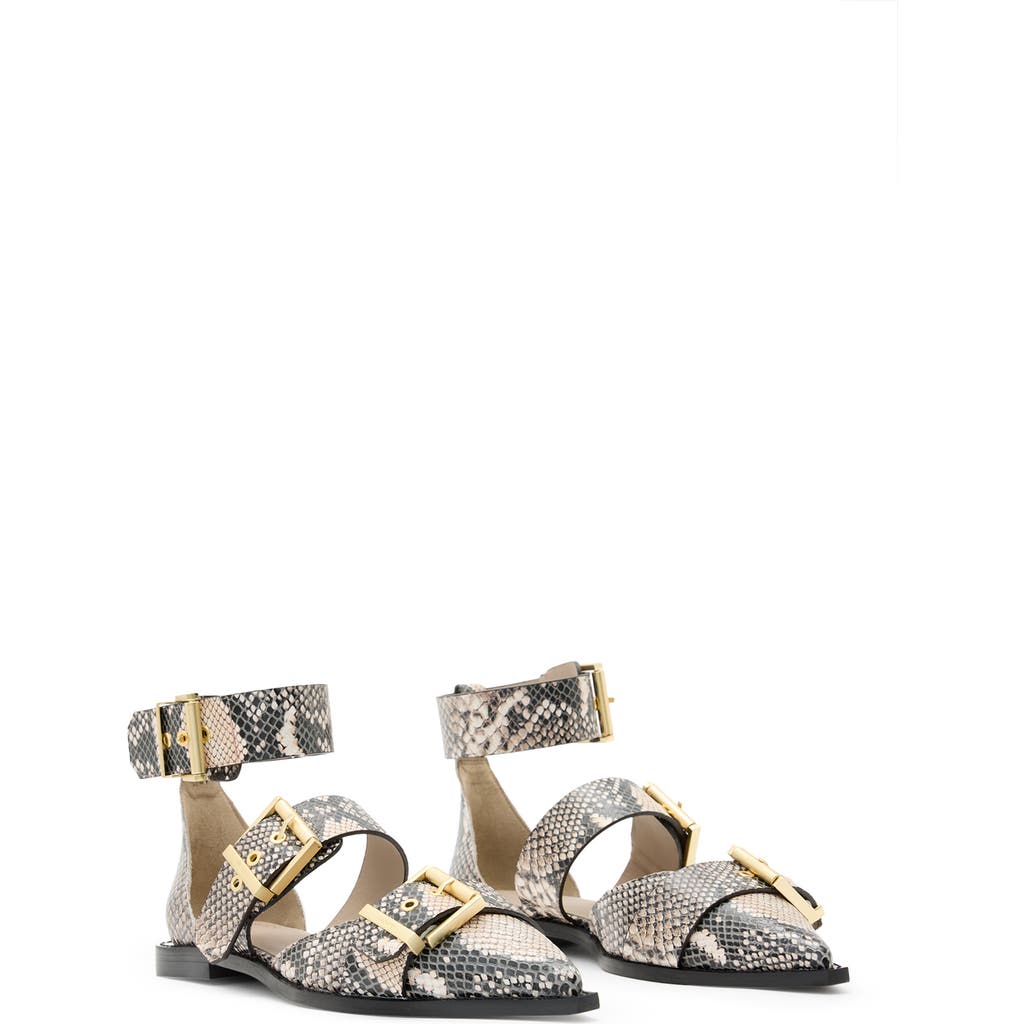 Allsaints Sutton Snakeskin Embossed Pointed Toe Flat In Flow Ecru White