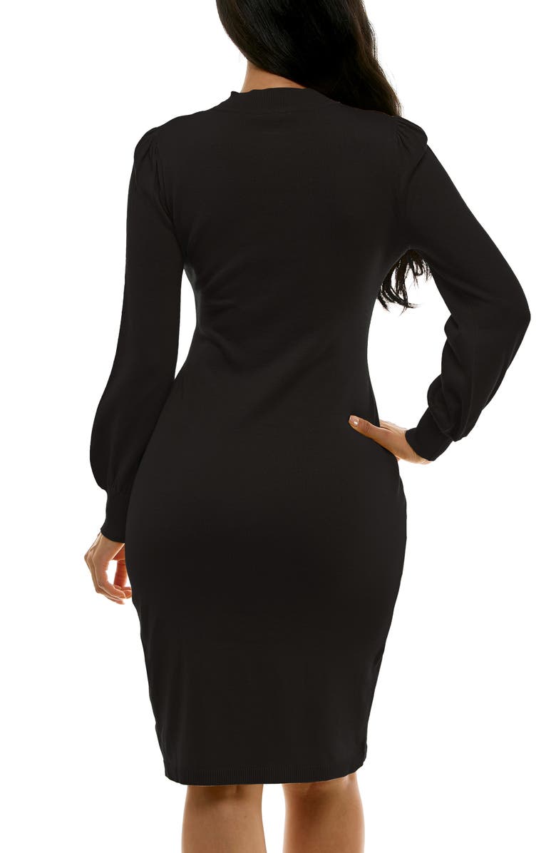 Nina Leonard Rib Knit Long Sleeve Sweater Dress, Alternate, color, 