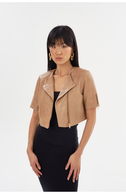 Lamarque Kirsi Gold | Cropped Biker Jacket In Brown