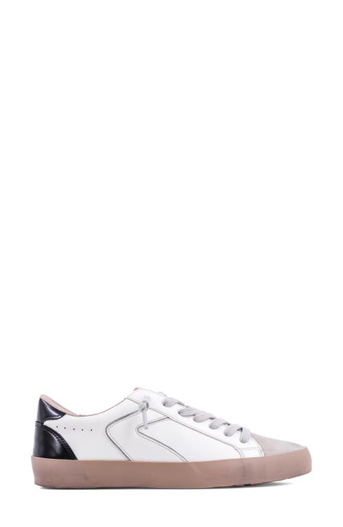 Shushop Robbie Lace-up Sneaker In Multi