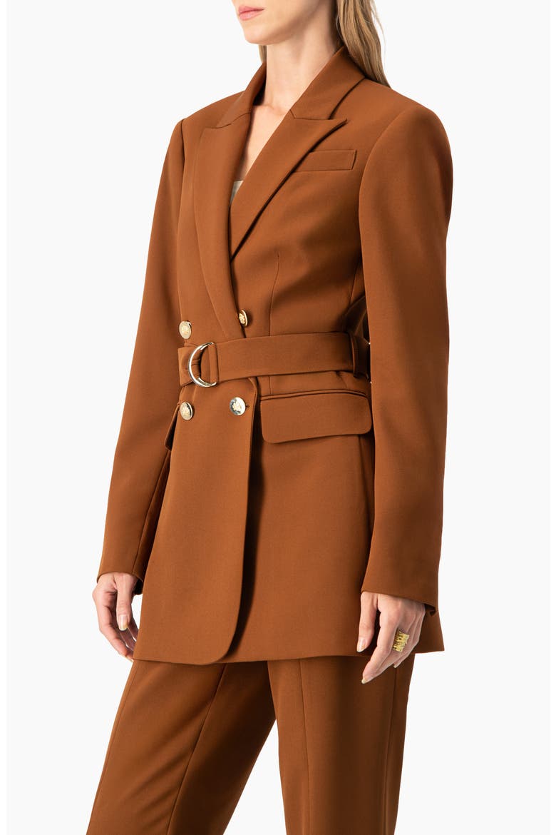 Double-Breasted Wrap Blazer with Waist Tie, Alternate, color, Brown