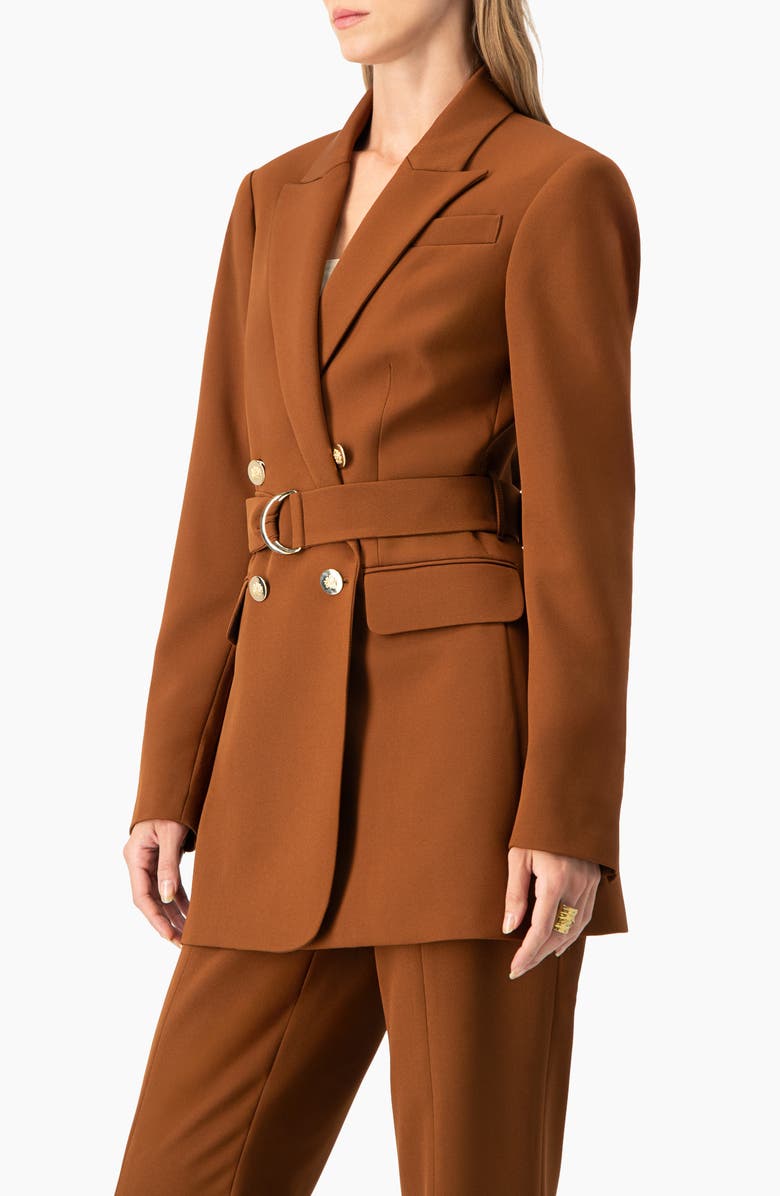 IVONNE Double-Breasted Wrap Blazer with Waist Tie, Alternate, color, Brown