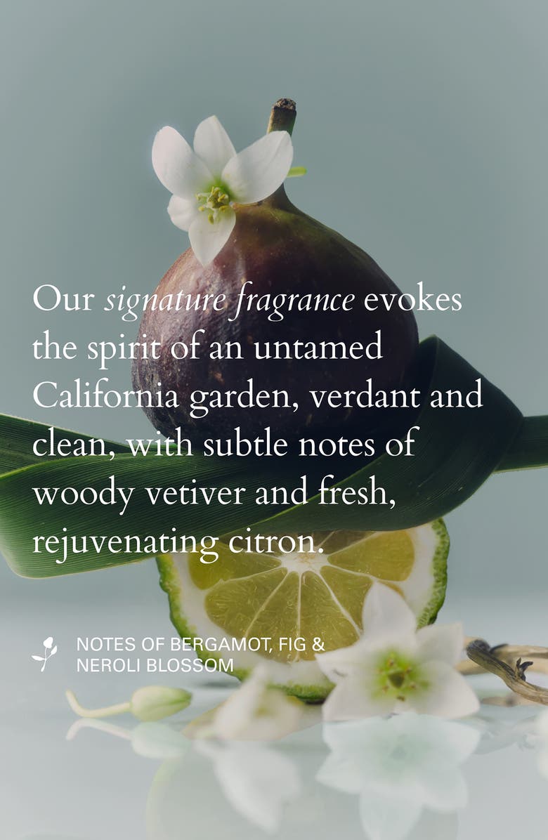 ROZ Day to Night Kit $61 Value, Alternate, color, 