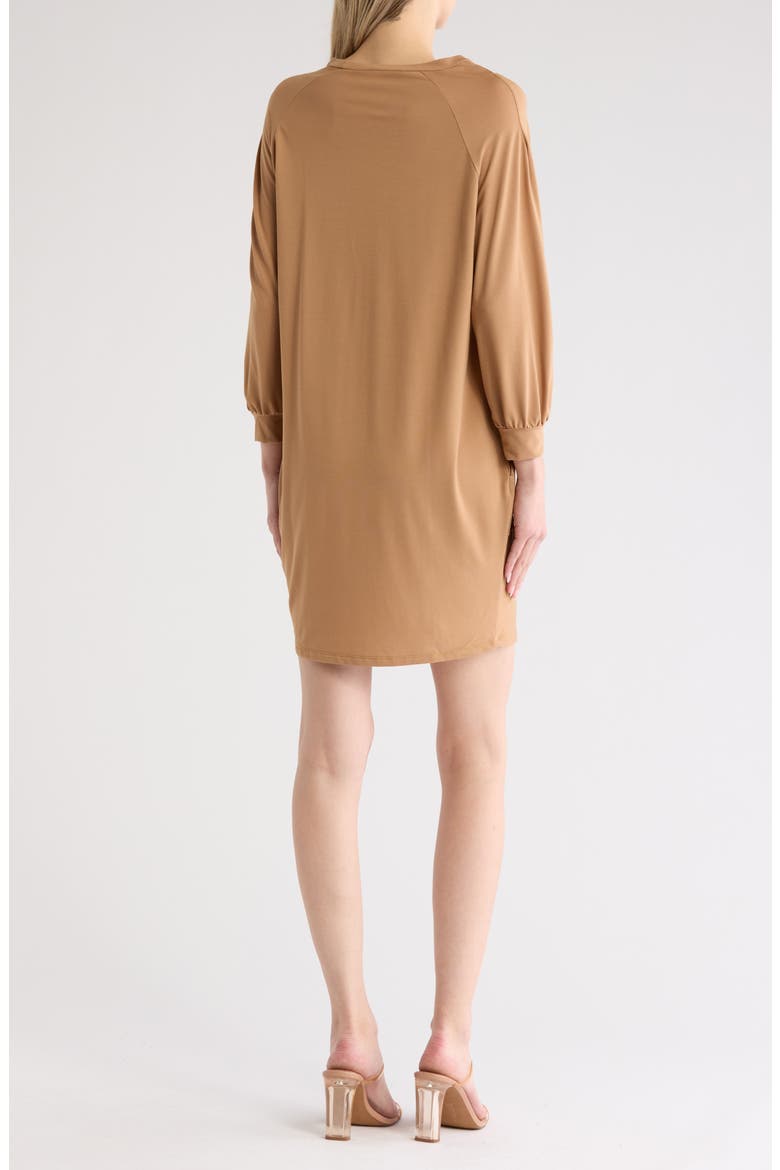 Relax With Me Long Sleeve Sweater Dress, Alternate, color, TOASTED ALMOND