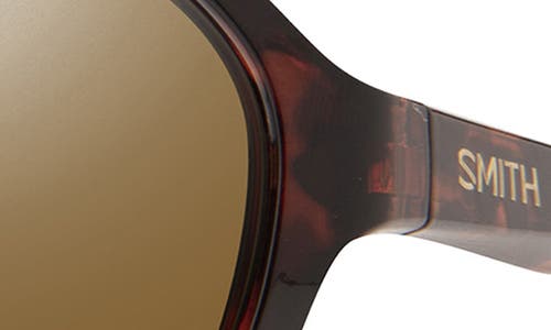 Smith Whitney 61mm Chromapop™ Polarized Wraparound Square Sunglasses In Tortoise/brown