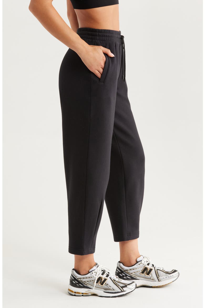 Ultracozy Pleated Joggers, Alternate, color, BLACK